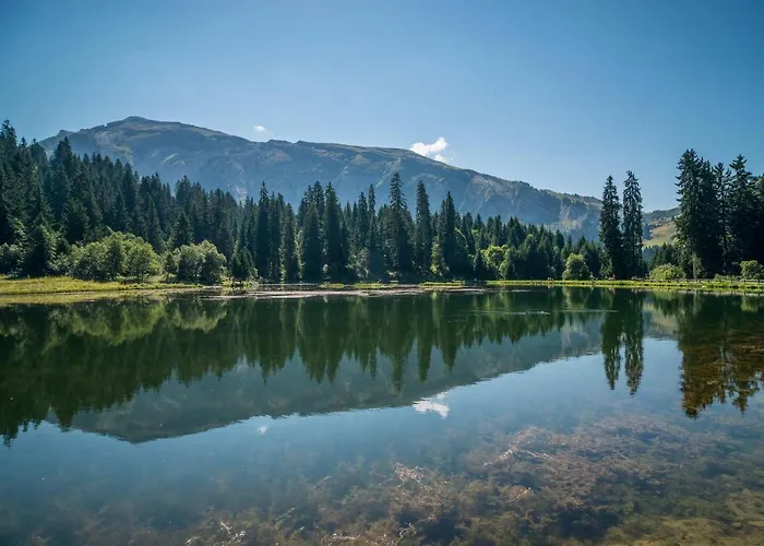 Apt Chenives 1 - Morzine